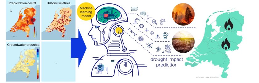 Schematische weergave van het machine learningmodel