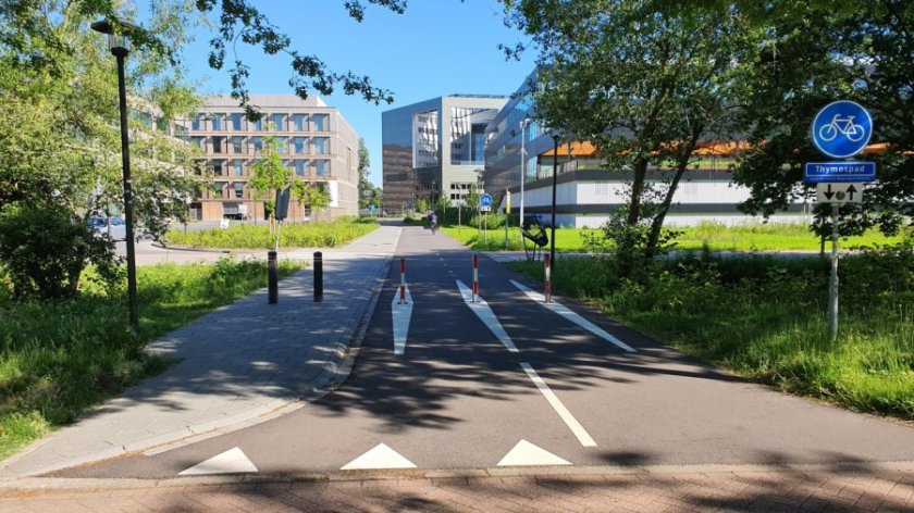 Het nieuwe Thymospad (Foto: Lex Roders)