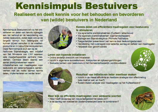 Kennisimpuls-bestuivers-flyer.png