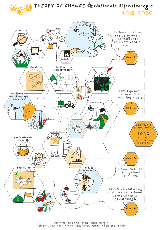 Nationale Bijenstrategie- Tekening Theory of Change.png