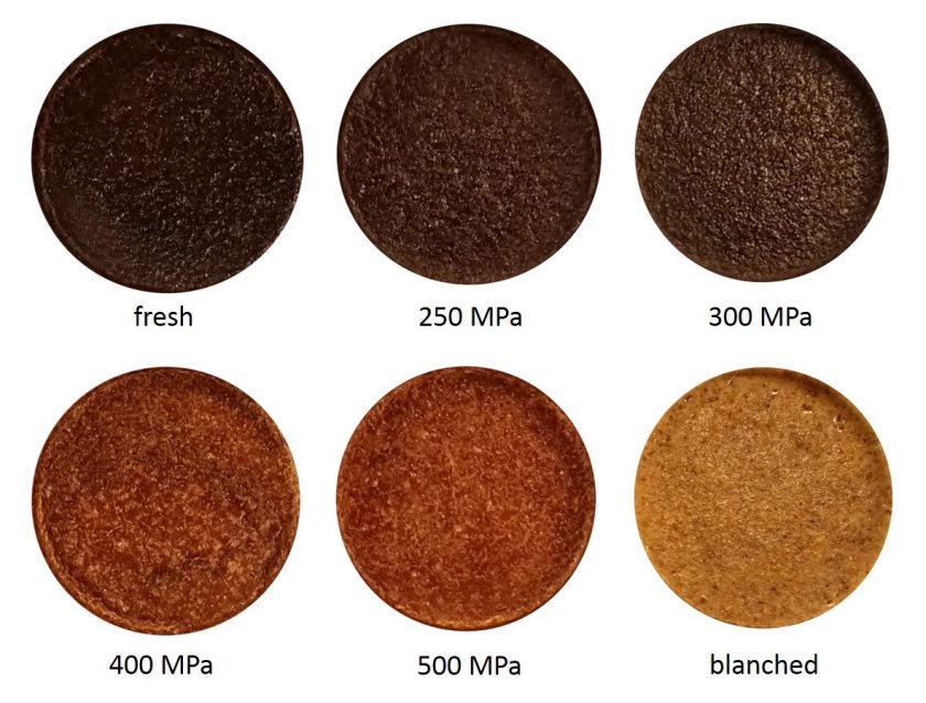 Figure: Baked mealworm paste is dark brown for fresh and 250-300 MPa, compared to light brown for 400-500 MPa and light brown for blanched treatment.