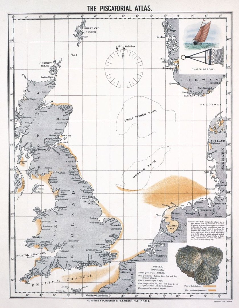 Historical distribution of the flat oyster (Olsen, 1883)