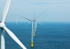 Ook de biodiversiteit rond windparken wordt gemonitord, bijvoorbeeld met een robotarm die de begroeiing van windturbinepalen schraapt. Beeld: Sky Pictures.